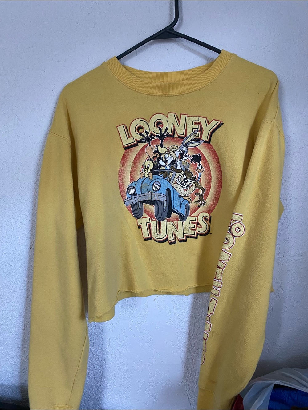 Looney Tunes Character Car Graphic Raw Hem Cropped Sweatshirt Cropped Sweatshirt